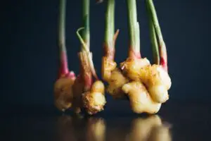 How To Grow, Harvest, And Preserve Ginger Indoors In 4 Easy Steps